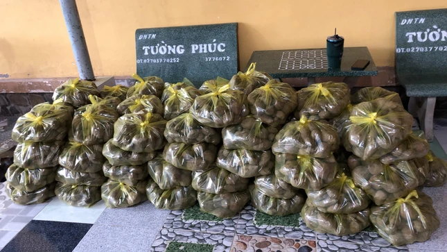 Chùa Phước Nguyên tặng khoai miễn phí tại chùa Chùa Phước Nguyên tặng khoai miễn phí tại chùa
