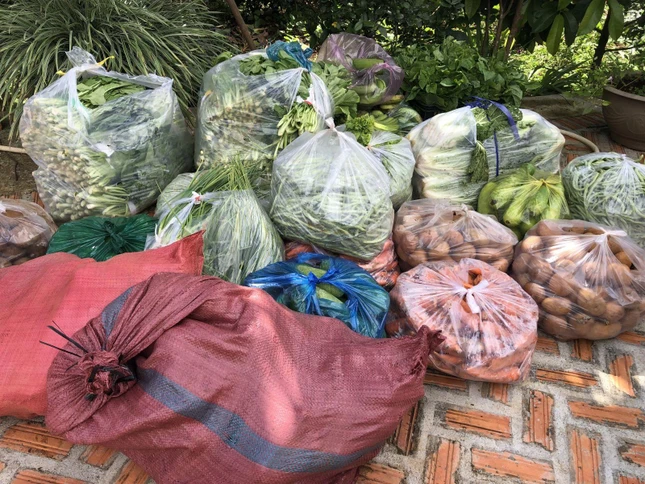 Những rau củ quả từ vườn nhà, vườn chùa gởi đến vùng dịch