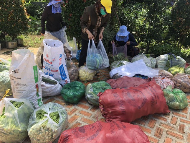 Các Phật tử không ngại khó khăn chung tay hỗ trợ góp rau củ quả cho vùng dịch Các Phật tử không ngại khó khăn chung tay hỗ trợ góp rau củ quả cho vùng dịch