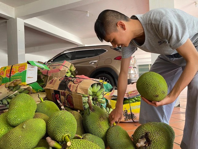 Những quả mít từ vườn nhà của Phật tử TP.Gia Nghĩa