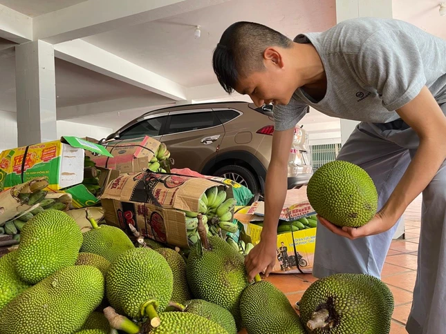 Những quả mít từ vườn nhà của Phật tử TP.Gia Nghĩa