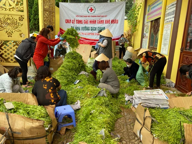 Rau củ quả được tập trung phân loại chuyển đến các tỉnh thành khó khăn do Covid-19