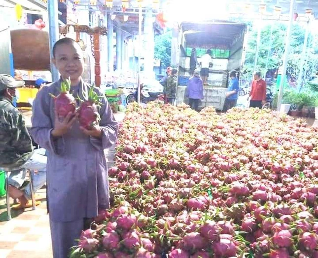 "Đặc sản" thanh long Bình Thuận được chùa Phước Minh gởi đến bà con khu cách ly TP.HCM