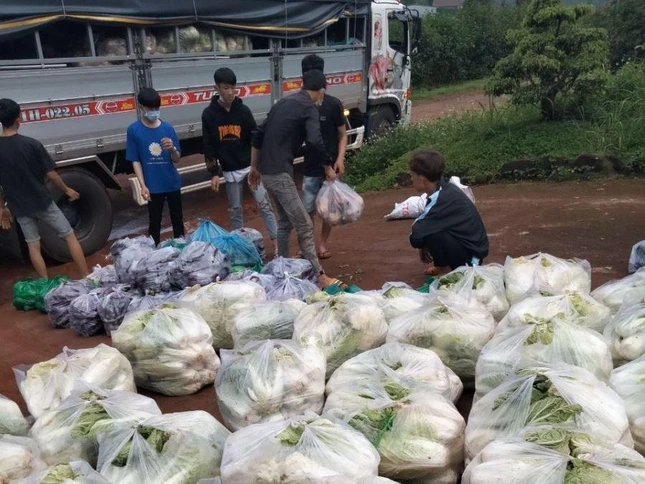 Vận chuyển rau củ lên xe để tặng bà con Bình Dương