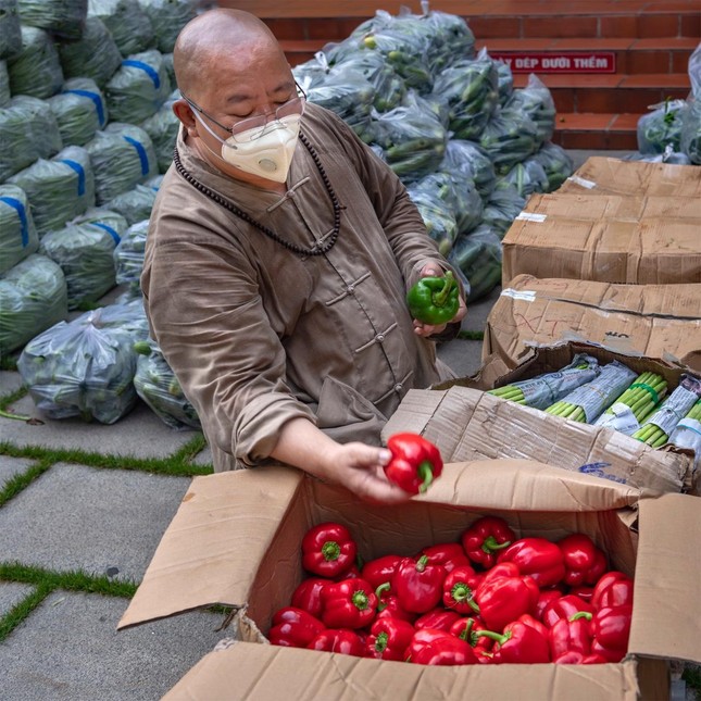 Thượng tọa Thích Đồng Văn tự tay chọn lọc những rau củ lo an sinh xã hội - Ảnh: VG