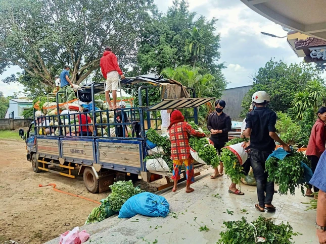 Vận chuyển nông sản để tặng đến bà con vùng dịch tỉnh Bình Dương