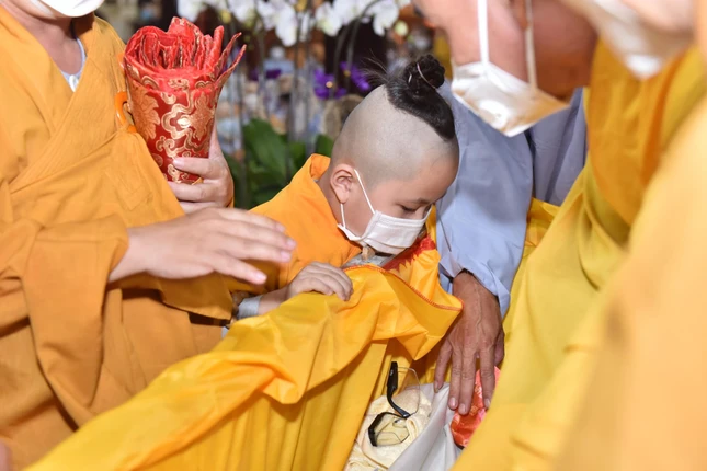 Tiễn biệt ân sư