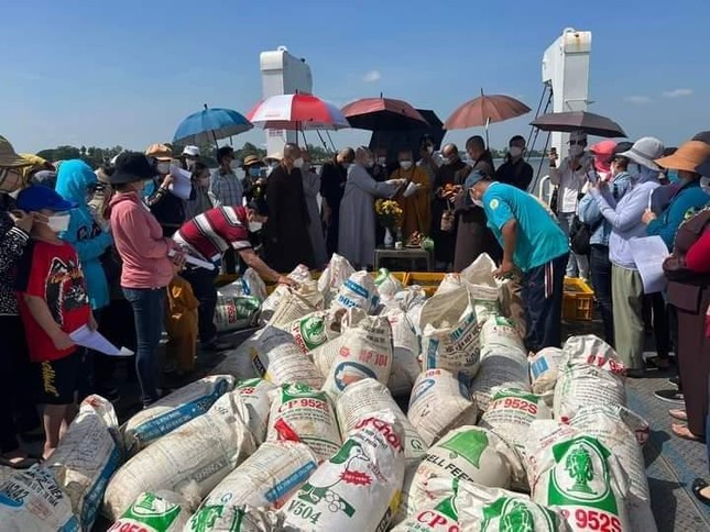 Phóng sinh cá ra sông Tiền