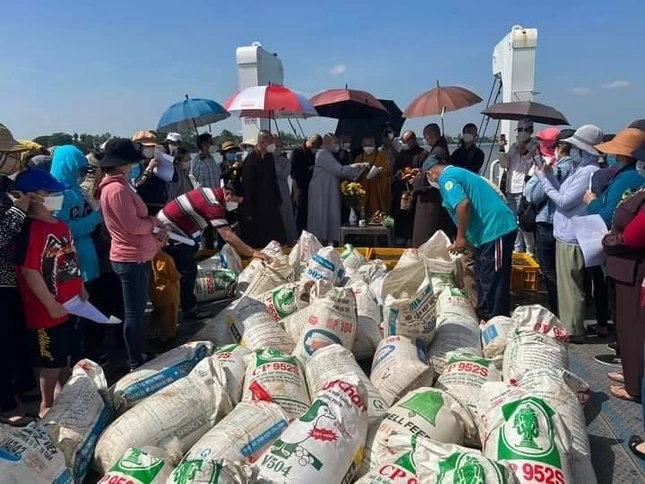 Phóng sinh cá ra sông Tiền