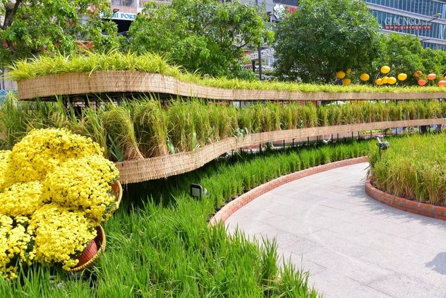 Ruộng bậc thang Ruộng bậc thang