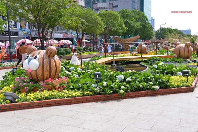 Trong sắc hoa tươi mới xoa dịu những ngày u ám đã qua