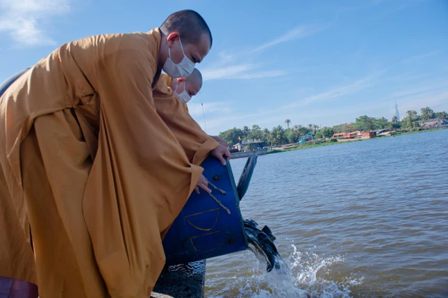 Phóng sinh Phóng sinh