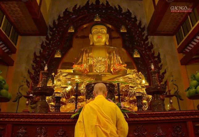 Trưởng lão Hòa thượng Thích Trí Quảng niêm hương bạch Phật