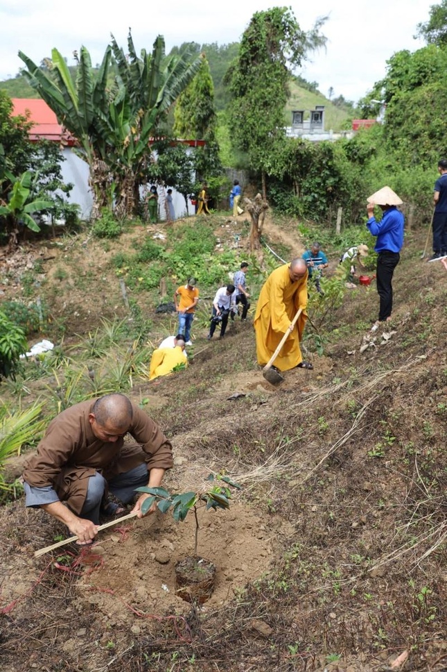 Trồng mới 563 cây gồm cây: sưa, sao, keo lai, vú sữa, xoài, mít, ổi, hoa mẫu đơn…