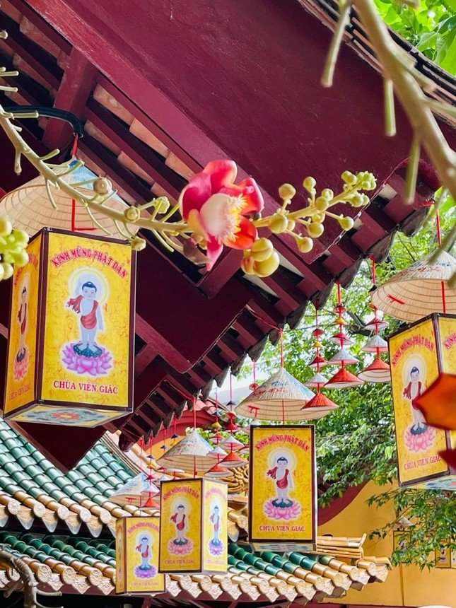 Không gian của lồng đèn truyền thống đón mừng Đức Phật đản sinh tại chùa Viên Giác
