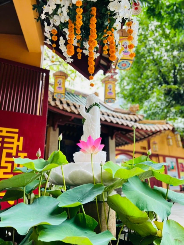 Tôn tượng kim thân Đức Phật sơ sinh