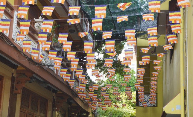 Trong khuôn viên chùa Minh Đạo