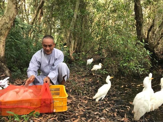 Thượng tọa Thích Thiện Quý, chùa Tâm Thành (Đồng Tháp) thả cò về với thiên nhiên Thượng tọa Thích Thiện Quý, chùa Tâm Thành (Đồng Tháp) thả cò về với thiên nhiên