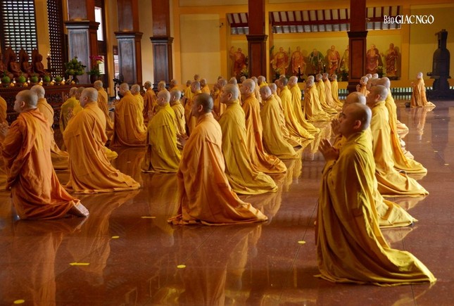 Cùng đại chúng đảnh lễ Tam bảo, phát lồ sám hối theo pháp