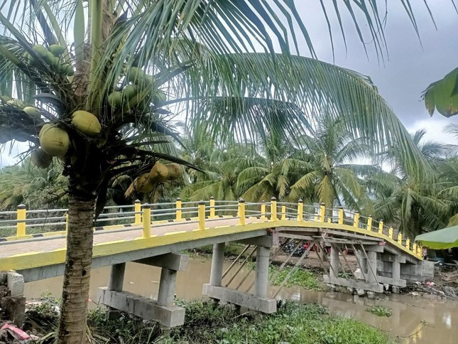 Khánh thành cầu Tường Nguyên 458 với chiều ngang 3,3 mét, chiều dài 27 mét tại ấp Tân Thành, xã Tân Mỹ - Ảnh: T.N Khánh thành cầu Tường Nguyên 458 với chiều ngang 3,3 mét, chiều dài 27 mét tại ấp Tân Thành, xã Tân Mỹ - Ảnh: T.N