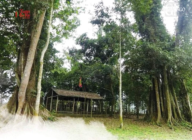 Chùa Kẻ và các cây đa cổ thụ ở huyện Tần Lạc, tỉnh Hòa Bình Chùa Kẻ và các cây đa cổ thụ ở huyện Tần Lạc, tỉnh Hòa Bình