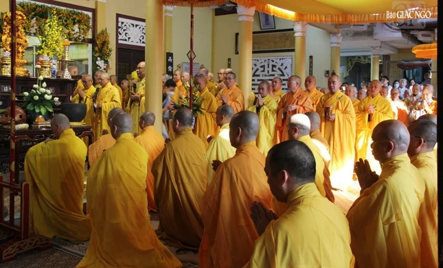 Môn đồ pháp quyến Trưởng lão Hòa thượng