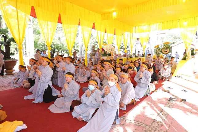 Môn nhân hiếu quyến Môn nhân hiếu quyến