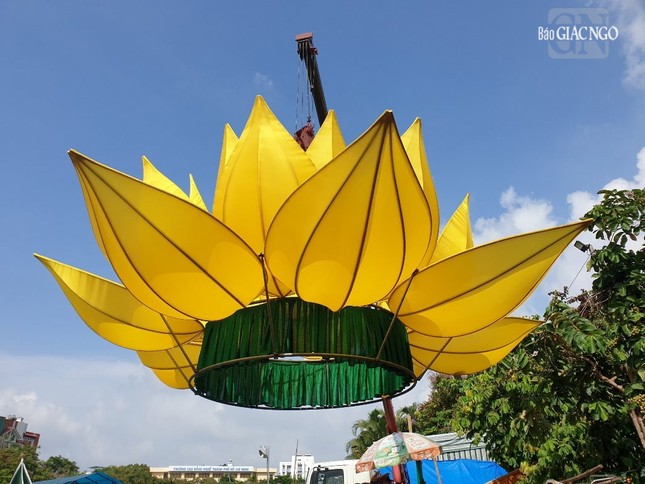 Hạ thủy từng đóa sen Hạ thủy từng đóa sen