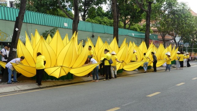 7 đóa sen vàng chuẩn bị được hạ thủy 7 đóa sen vàng chuẩn bị được hạ thủy