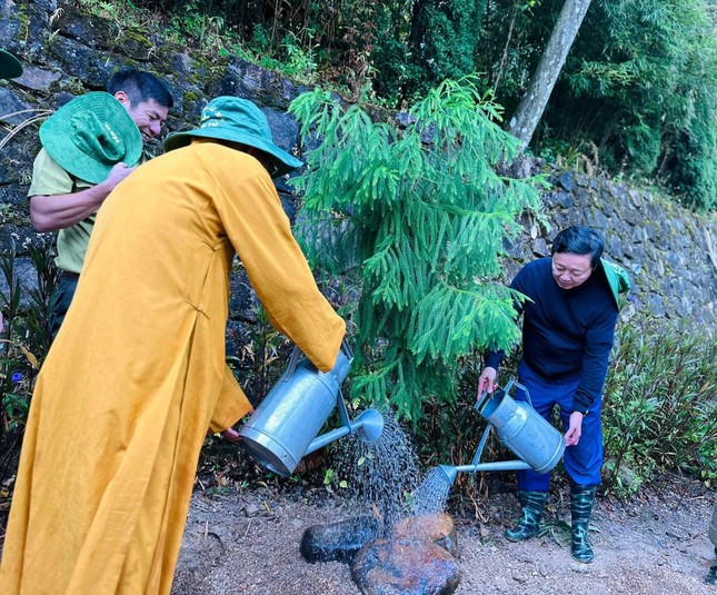 Trồng 1.000 cây xích tùng tại Yên Tử