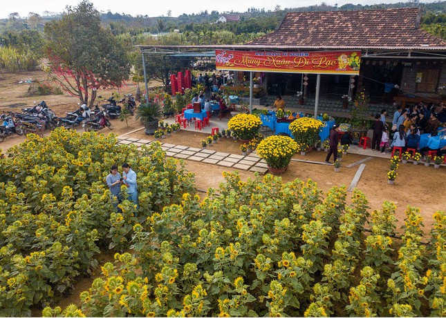 Quang cảnh chùa Từ Nghiêm