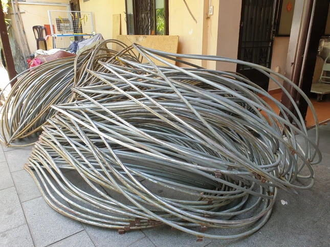 Hàng trăm cánh sen chuẩn bị được "mặc áo mới"