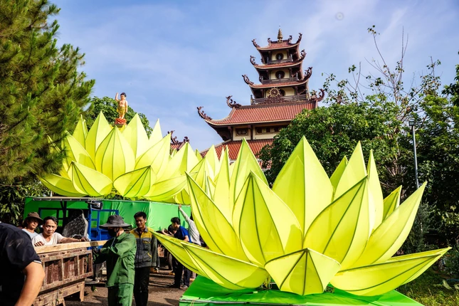 Chuẩn bị hạ thủy 7 đóa sen dưới hồ Nhân Cơ