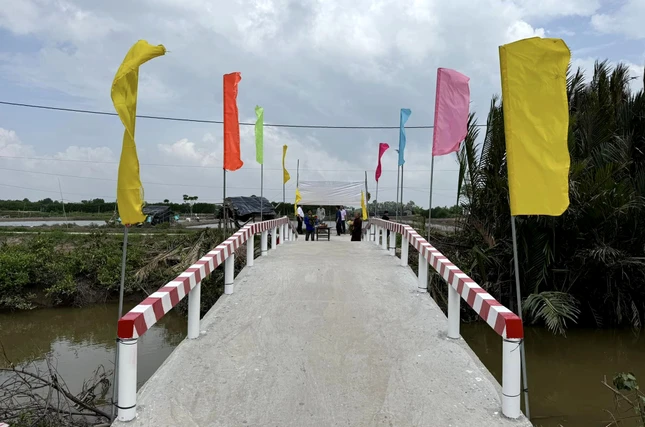 Cây cầy bê-tông nông thôn tại ấp Tân Khánh, xã Long Khánh được đưa vào sử dụng - Ảnh: L.B