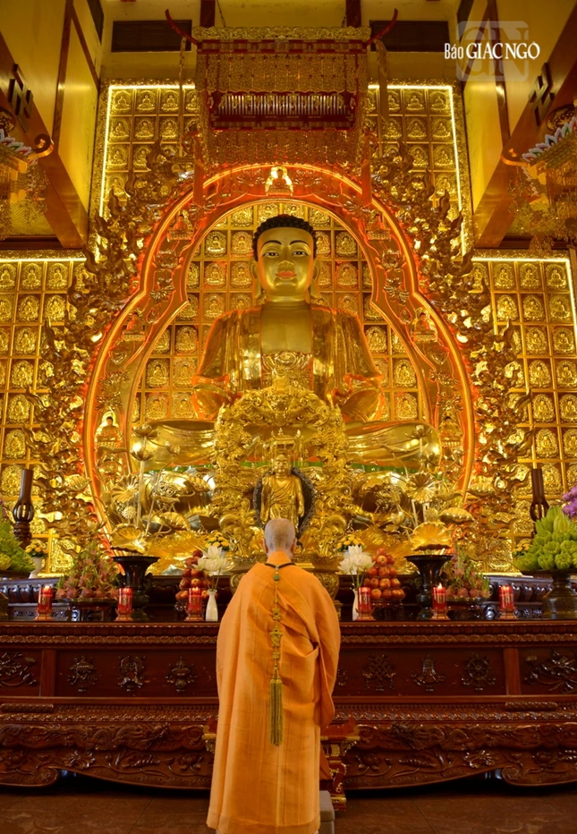 Đức Pháp chủ GHPGVN - Trưởng lão Hòa thượng Thích Trí Quảng đảnh lễ Tam bảo Đức Pháp chủ GHPGVN - Trưởng lão Hòa thượng Thích Trí Quảng đảnh lễ Tam bảo
