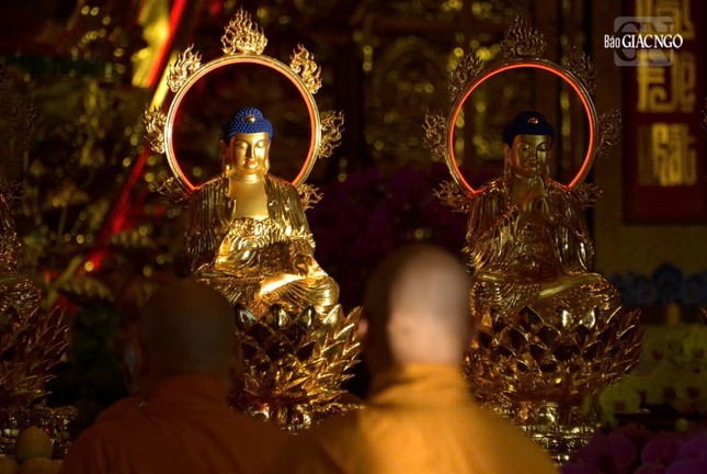 Thành kính đảnh lễ chư Phật