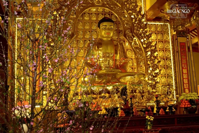 Sắc hoa đào mừng Xuân Ất Tỵ tại không gian tâm linh Việt Nam Quốc Tự