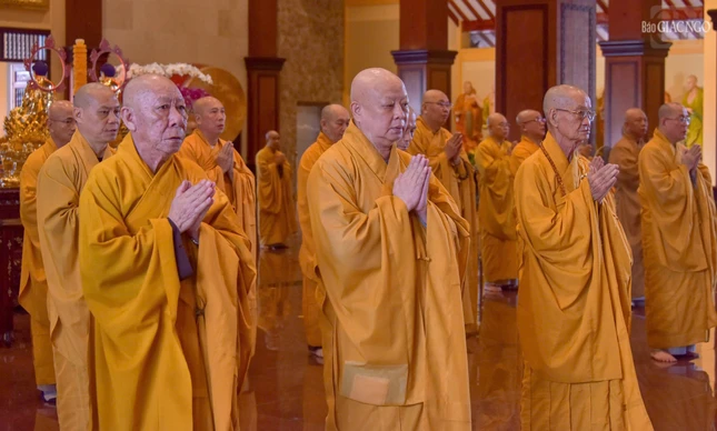 Chư tôn đức Hội đồng Chứng minh, Ban Trị sự TP.HCM thành kính đảnh lễ Tam bảo