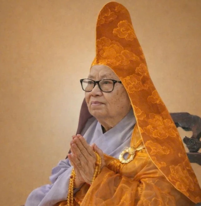 Chân dung Ni trưởng Thích nữ Hải Nghĩa