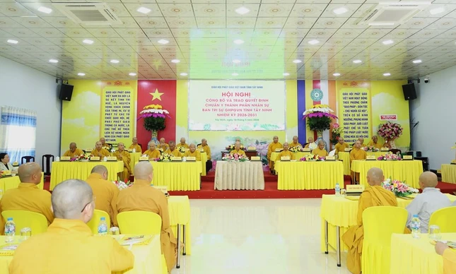 Chứng minh và tham dự
