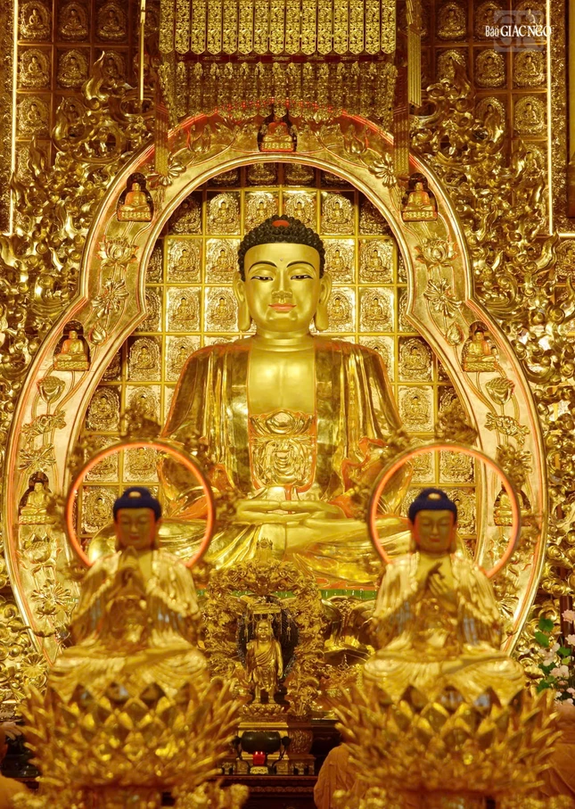 Đức Bổn Sư Thích Ca Mâu Ni Đức Bổn Sư Thích Ca Mâu Ni