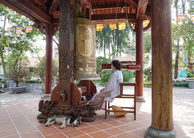 Tôi bước vào chùa vào một buổi chiều tháng Giêng, gặp lúc chư Ni đang công phu chiều, người phụ nữ đang thỉnh chuông lớn, với giọng đọc như rót vào lòng cùng âm thanh của tiếng đại hồng chung: “Nghe chuông phiền não tan mây khói / Ý lặng, thân an, miệng mỉm cười / Hơi thở nương chuông về chánh niệm / Vườn tâm hoa tuệ nở xinh tươi”... Tôi bước vào chùa vào một buổi chiều tháng Giêng, gặp lúc chư Ni đang công phu chiều, người phụ nữ đang thỉnh chuông lớn, với giọng đọc như rót vào lòng cùng âm thanh của tiếng đại hồng chung: “Nghe chuông phiền não tan mây khói / Ý lặng, thân an, miệng mỉm cười / Hơi thở nương chuông về chánh niệm / Vườn tâm hoa tuệ nở xinh tươi”...