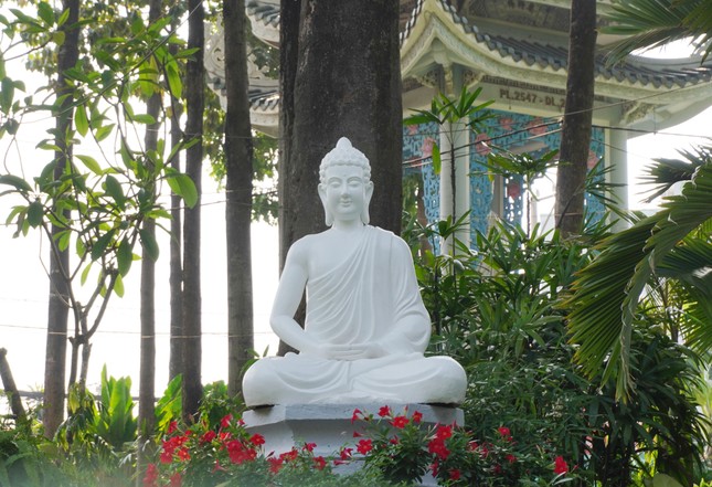 Mỗi tháng, chùa tổ chức thọ Bát quan trai và dạy giáo lý cho Phật tử. Ngoài ra chùa Sùng Đức còn có Lớp học tình thương cho những em nghèo không có điều kiện đến trường.