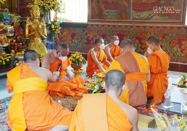 Nghị thức giao y