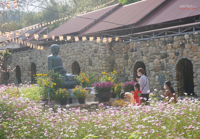 Lung linh trong ánh nắng sớm mùng 1 Tết