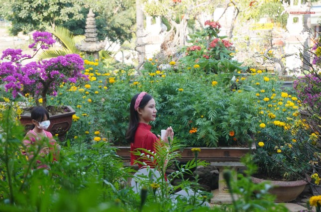 Xuân đã đến rồi