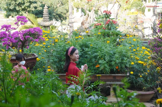 Xuân đã đến rồi