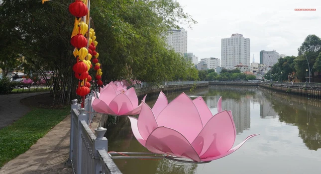 Hoa sen, lồng đèn trên bờ kênh Nhiêu Lộc phía trước chùa