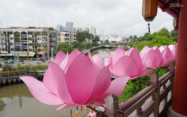 Hoa sen "nở rộ" bên dòng kênh Nhiêu Lộc