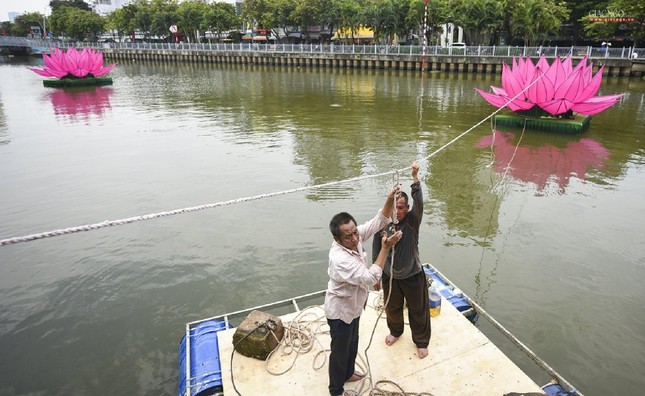 Cẩn thận cố định các hoa sen